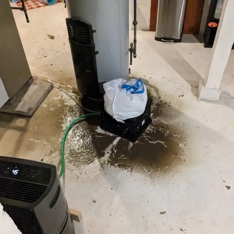 Sewage Backup Cleanup Service in Meyersdale, PA